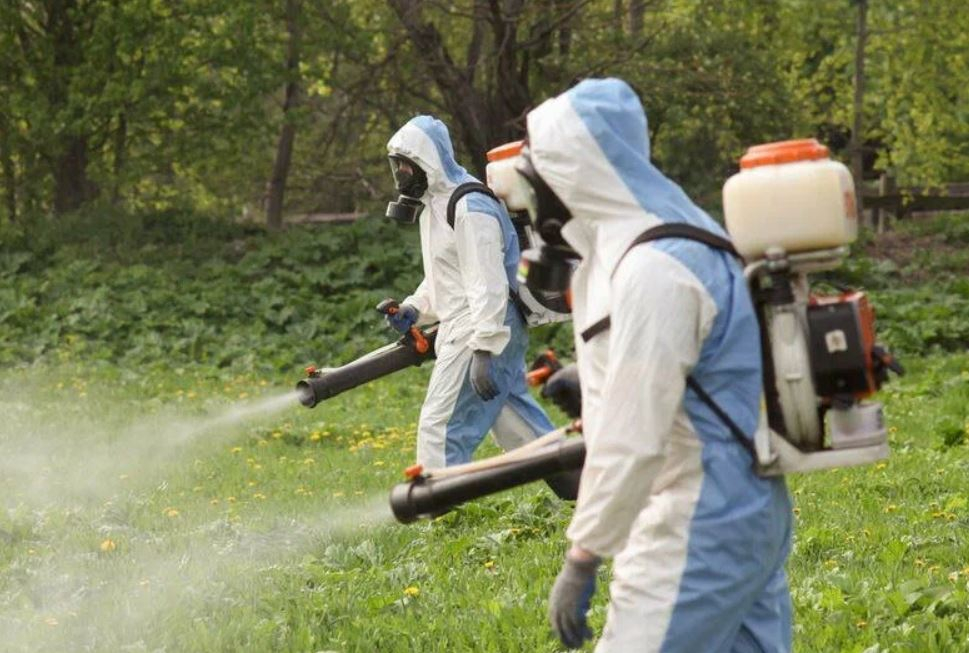 ФОТО Уничтожение клопов в Богатых Сабах