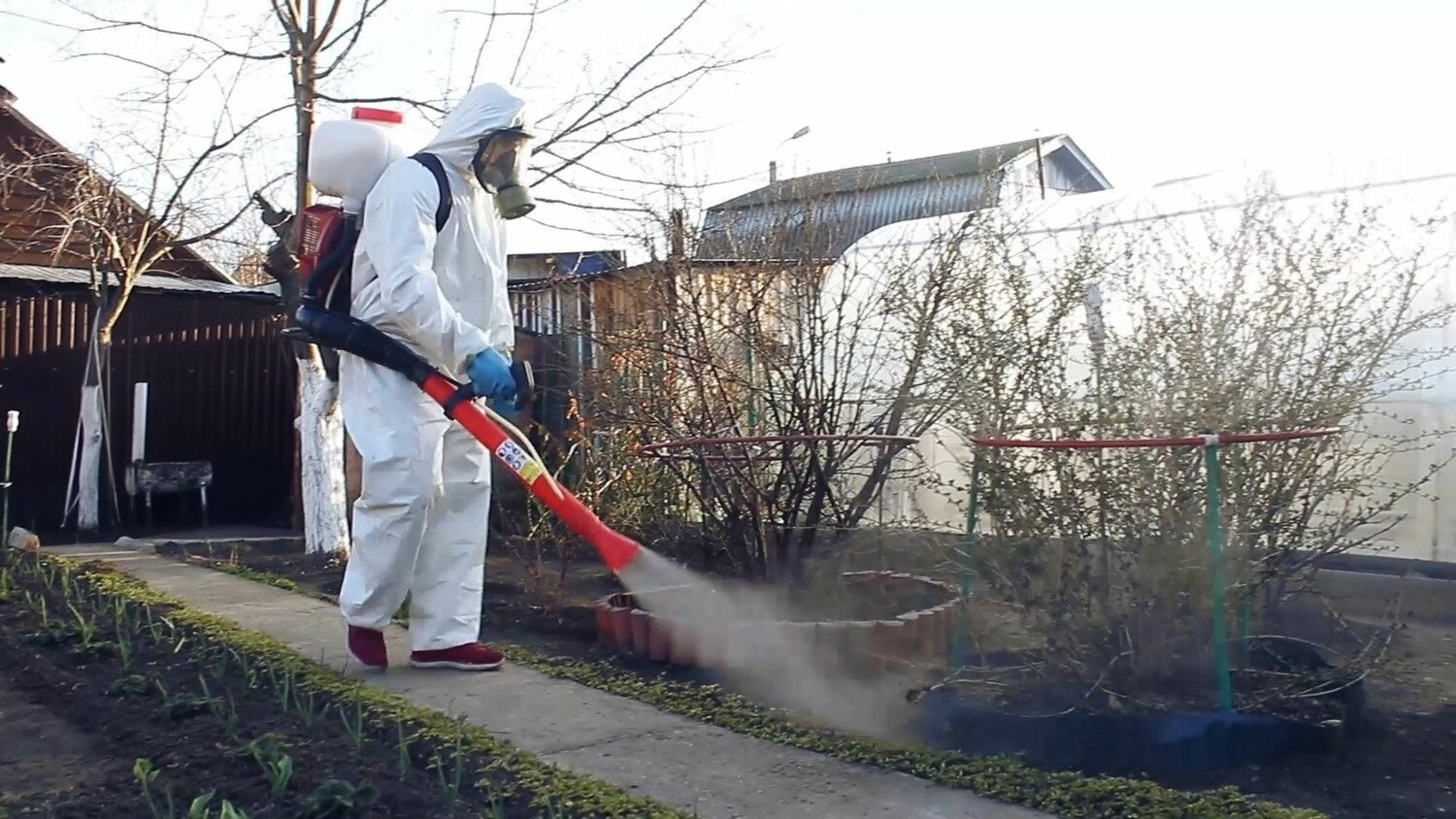 ФОТО Уничтожение муравьёв в Богатых Сабах