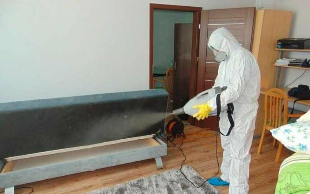 ФОТО Уничтожение блох в Богатых Сабах