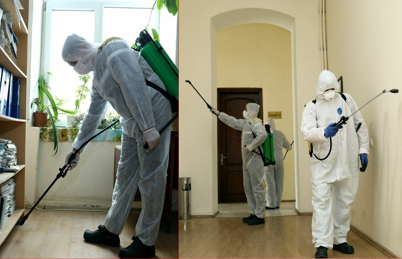 ФОТО Требуется ли лицензия для дезинсекции и дезинфекции в Богатых Сабах? | подробно