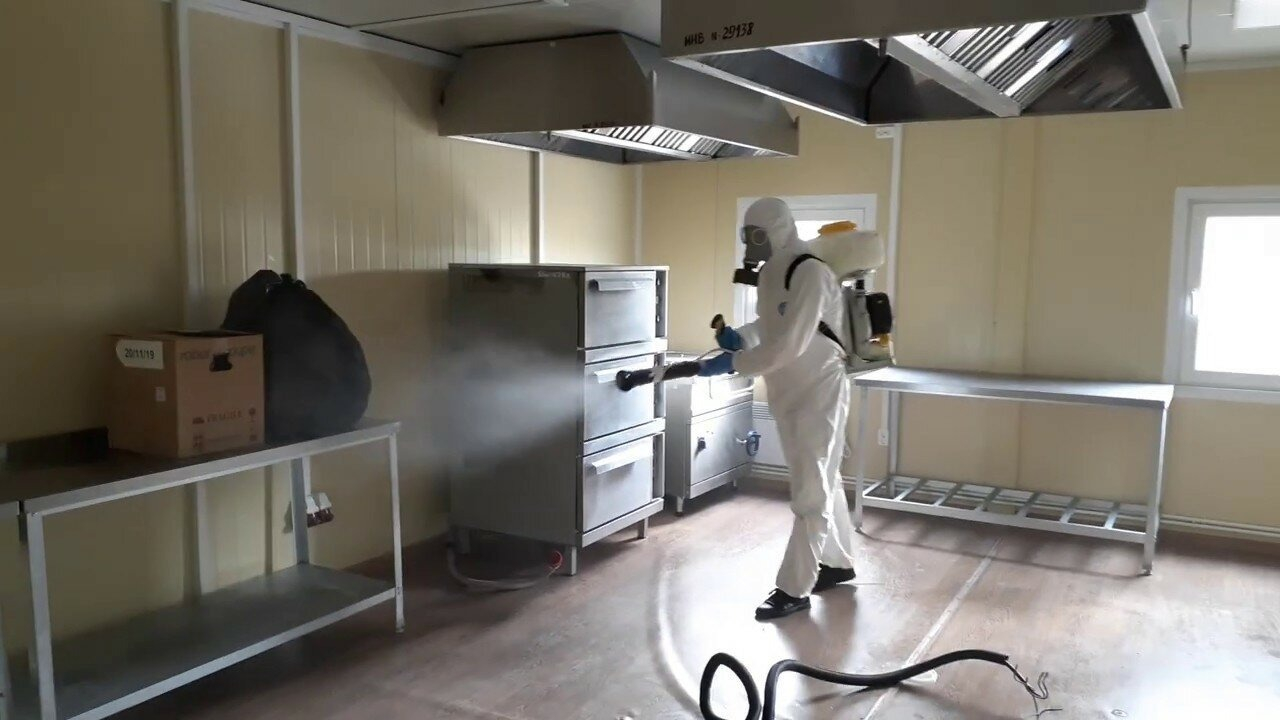 ФОТО Можно ли провести дезинсекцию самостоятельно и какие существуют риски в Богатых Сабах? | подробно