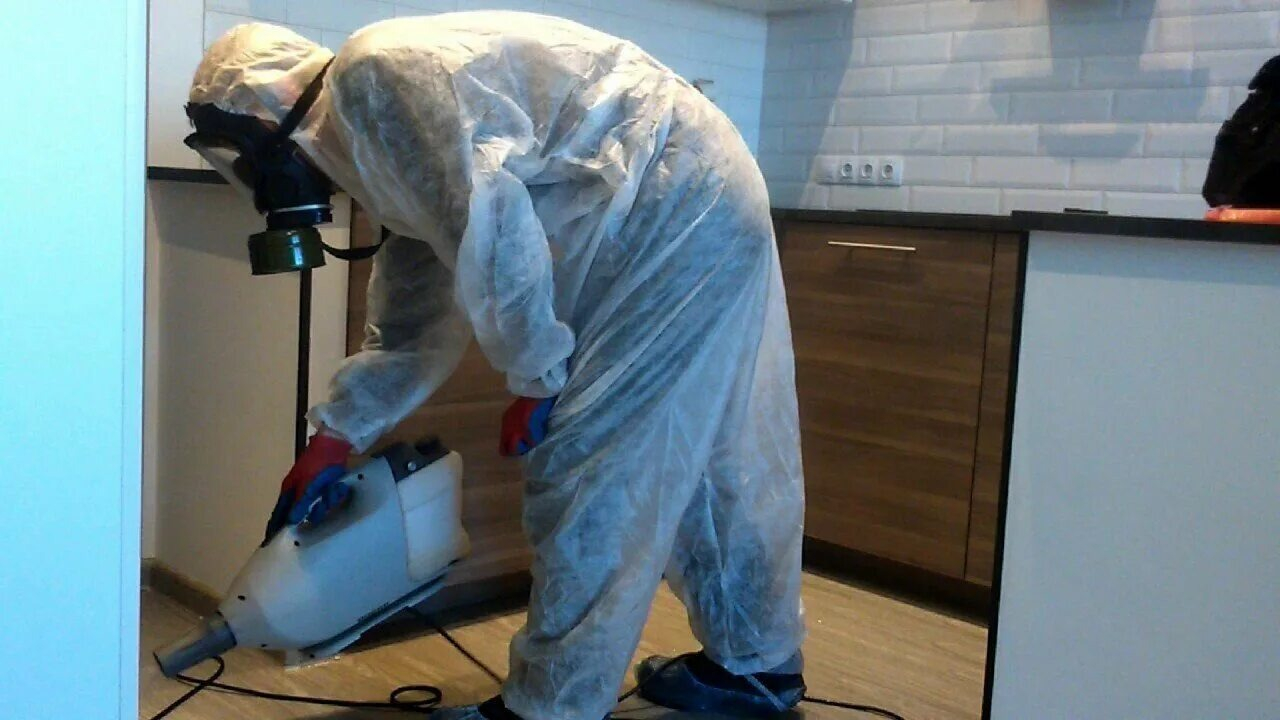 ФОТО Как подготовить домашних животных к обработке от насекомых в Богатых Сабах? | подробно