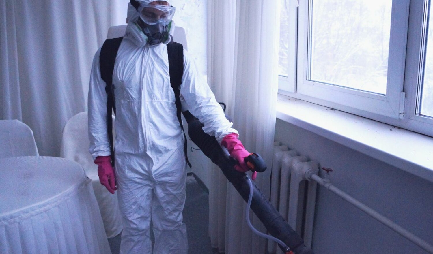 ФОТО Нужно ли выносить растения при дезинсекции в Богатых Сабах? | подробно