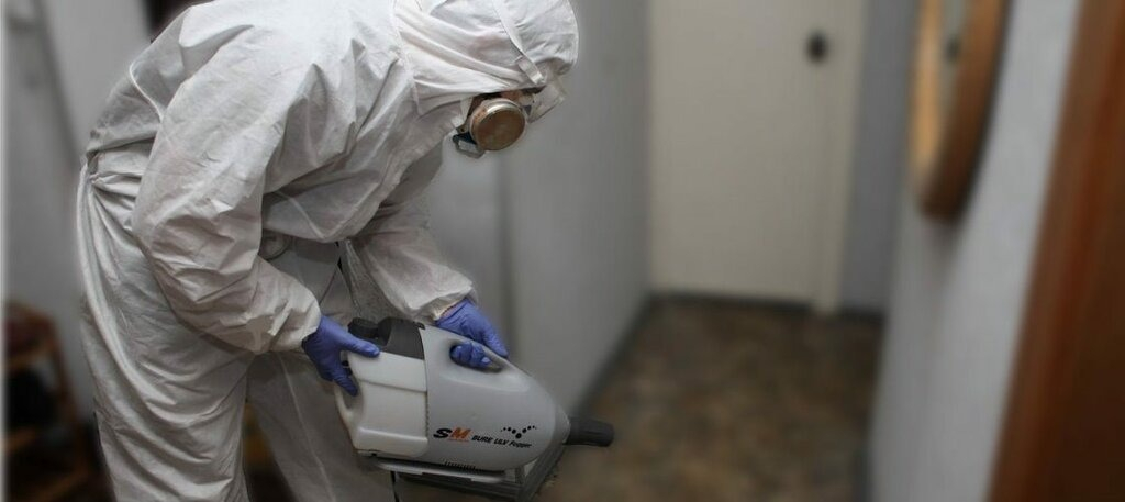 ФОТО Остаются ли следы после обработки квартиры от насекомых в Богатых Сабах? | подробно