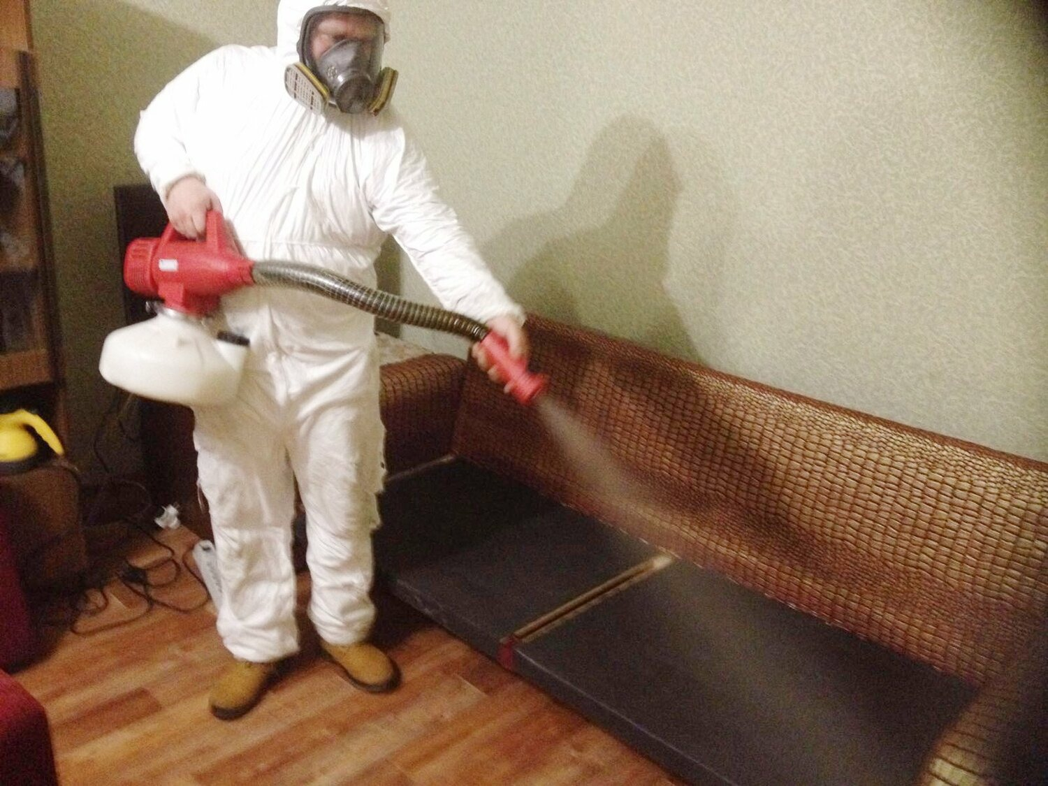 ФОТО Когда можно вернуться в помещение после дезинсекции в Богатых Сабах? | подробно